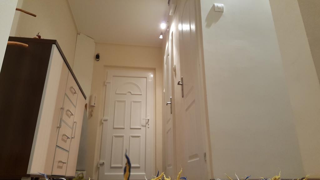 Aquarius Apartman Szeged Buitenkant foto