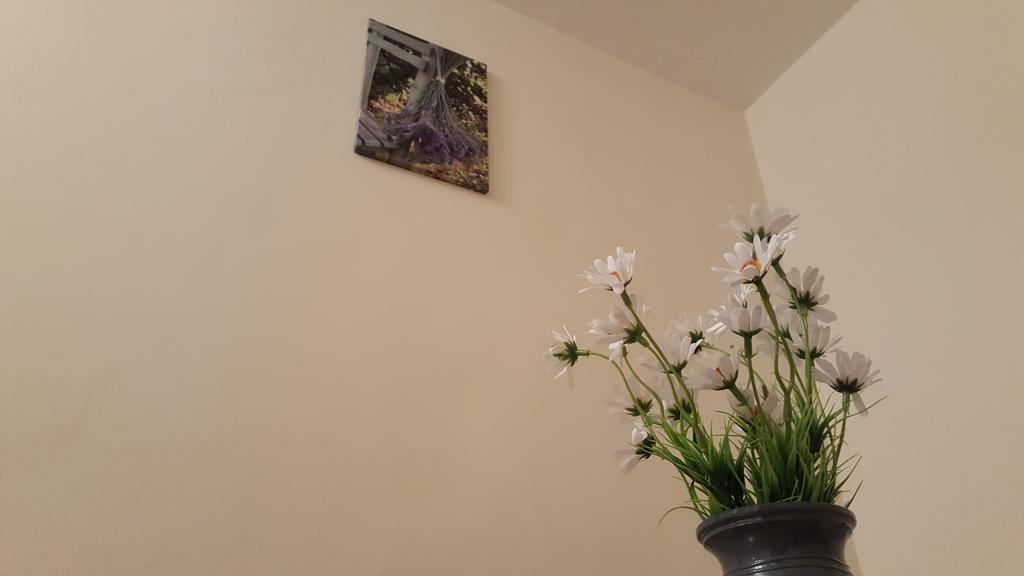 Aquarius Apartman Szeged Buitenkant foto